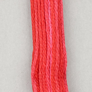 DMC Floss Cotton   Shades ECRU   300
