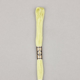 DMC Floss Cotton   Shades ECRU   300
