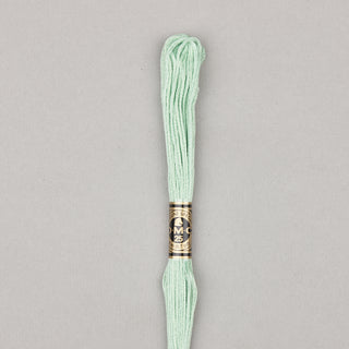 DMC Floss Cotton   Shades ECRU   300

