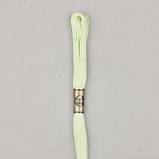 DMC Floss Cotton   Shades ECRU   300
