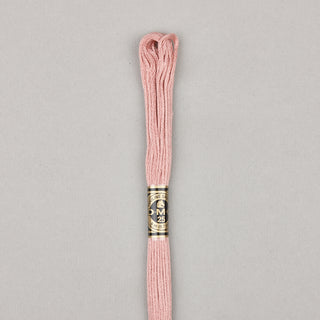 DMC Floss Cotton   Shades ECRU   300
