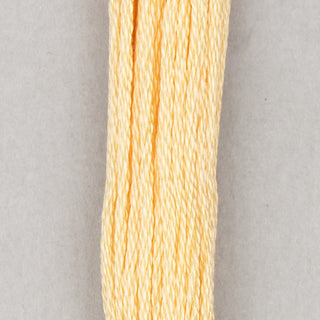 DMC Floss Cotton   Shades ECRU   300
