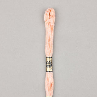 DMC Floss Cotton   Shades ECRU   300
