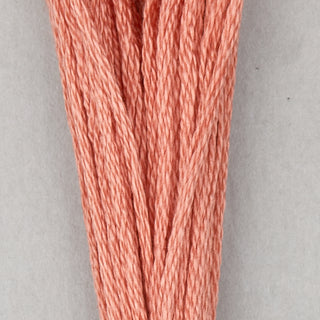 DMC Floss Cotton   Shades ECRU   300
