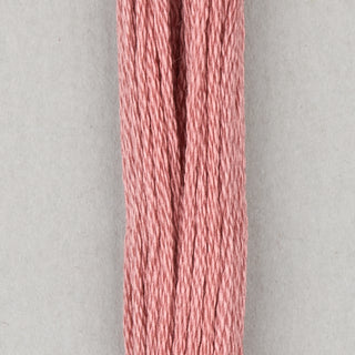 DMC Floss Cotton   Shades ECRU   300

