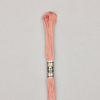 Floss Cotton   Shades 3768   3866
