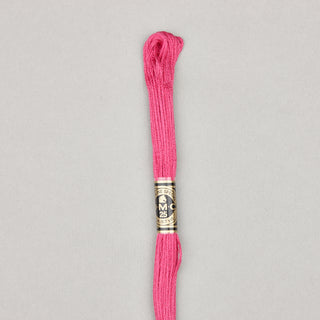 Floss Cotton   Shades 3768   3866
