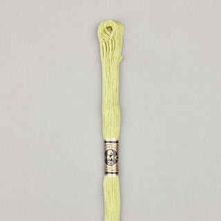 Floss Cotton   Shades 3768   3866
