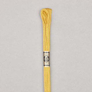 Floss Cotton   Shades 3768   3866
