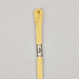 Floss Cotton   Shades 3768   3866
