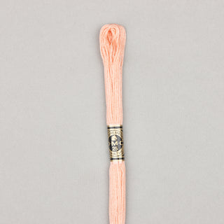 Floss Cotton   Shades 3768   3866
