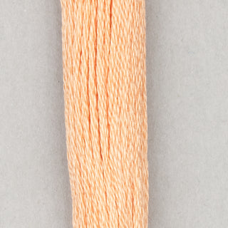 Floss Cotton   Shades 3768   3866
