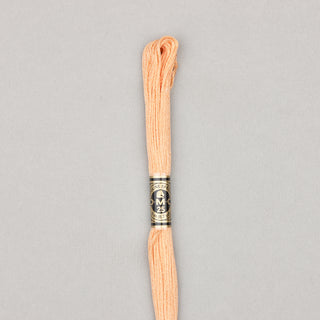 Floss Cotton   Shades 3768   3866
