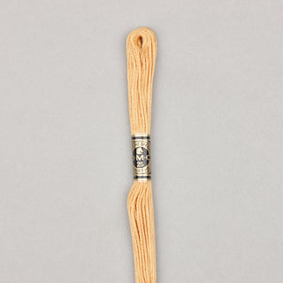Floss Cotton   Shades 3768   3866
