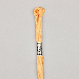 Floss Cotton   Shades 3768   3866
