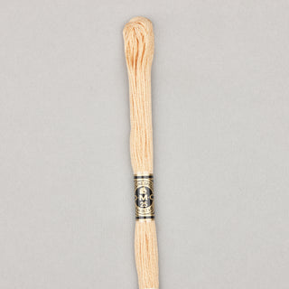 Floss Cotton   Shades 3768   3866
