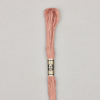 Floss Cotton   Shades 3768   3866
