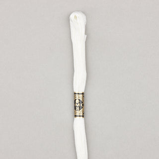 Floss Cotton   Shades 3768   3866
