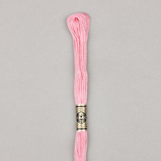 DMC Floss Cotton   Shades 598   809
