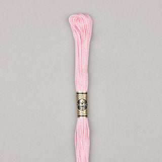 DMC Floss Cotton   Shades 598   809
