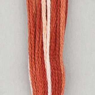 DMC Floss Cotton   Shades ECRU   300
