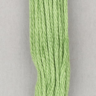DMC Floss Cotton   Shades 598   809
