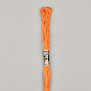 DMC Floss Cotton   Shades 598   809

