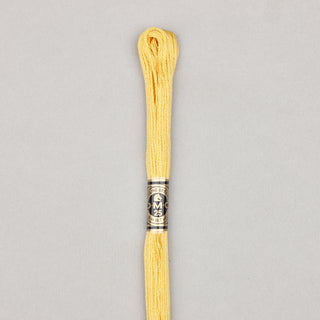 DMC Floss Cotton   Shades 598   809
