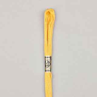 DMC Floss Cotton   Shades 598   809
