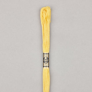 DMC Floss Cotton   Shades 598   809

