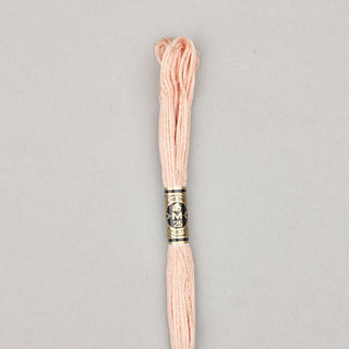DMC Floss Cotton   Shades 598   809
