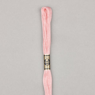 DMC Floss Cotton   Shades 598   809
