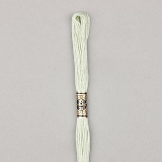 DMC Floss Cotton   Shades 598   809
