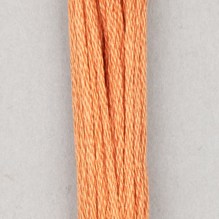 DMC Floss Cotton   Shades 813   966
