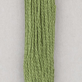 DMC Floss Cotton   Shades 813   966
