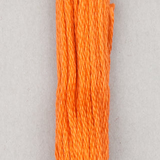 DMC Floss Cotton   Shades 813   966
