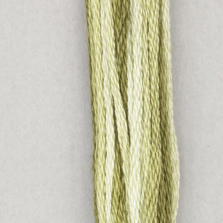 DMC Floss Cotton   Shades ECRU   300

