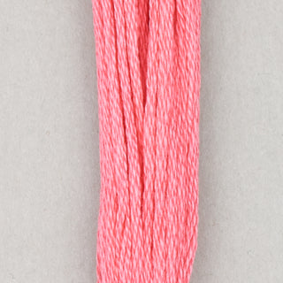 DMC Floss Cotton   Shades 813   966
