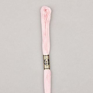 DMC Floss Cotton   Shades 813   966
