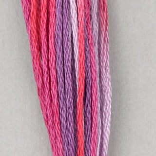 DMC Floss Variations
