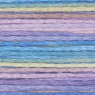 Rainbow Gallery Bravo
