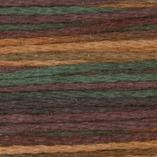 Rainbow Gallery Bravo
