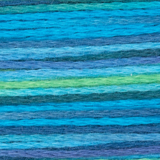 Rainbow Gallery Bravo
