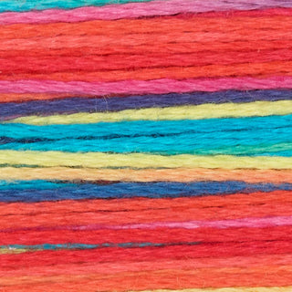 Rainbow Gallery Bravo
