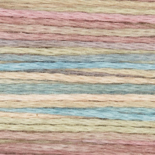 Rainbow Gallery Bravo
