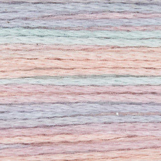 Rainbow Gallery Bravo
