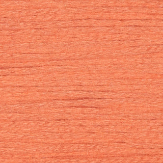 Rainbow Gallery Mandarin   Shades 800  860
