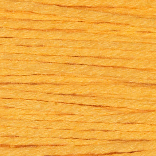 Rainbow Gallery Splendor   Shades 981   1070
