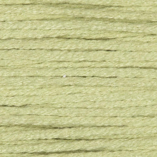 Rainbow Gallery Splendor   Shades 891   980
