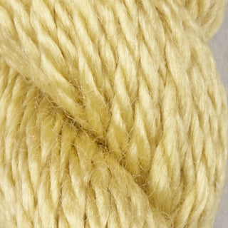 Silk and Ivory   Shades 181   736
